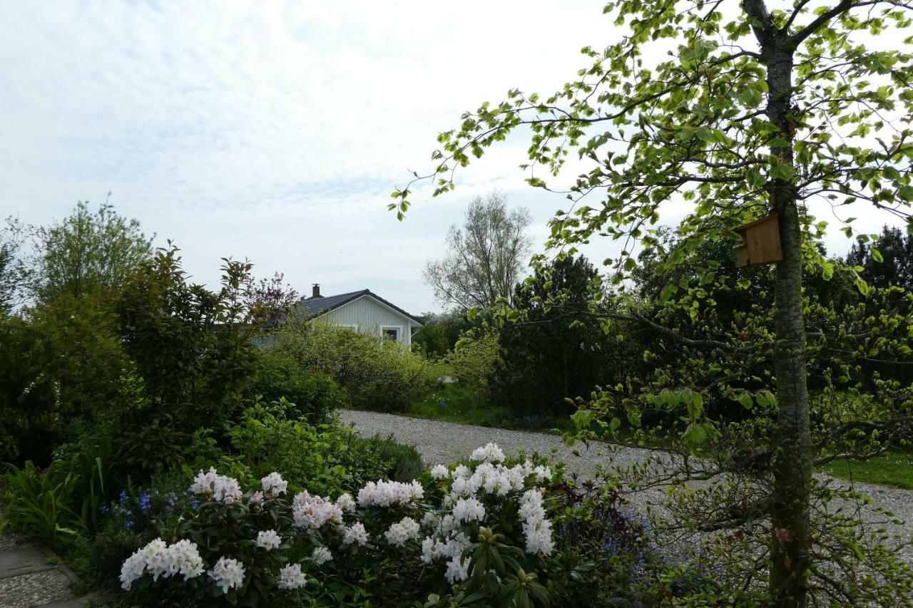 Ferienhaus-Lachmoewe Kappeln Eksteriør bilde